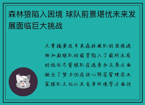 森林狼陷入困境 球队前景堪忧未来发展面临巨大挑战