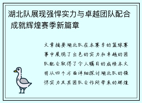 湖北队展现强悍实力与卓越团队配合 成就辉煌赛季新篇章