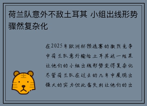 荷兰队意外不敌土耳其 小组出线形势骤然复杂化