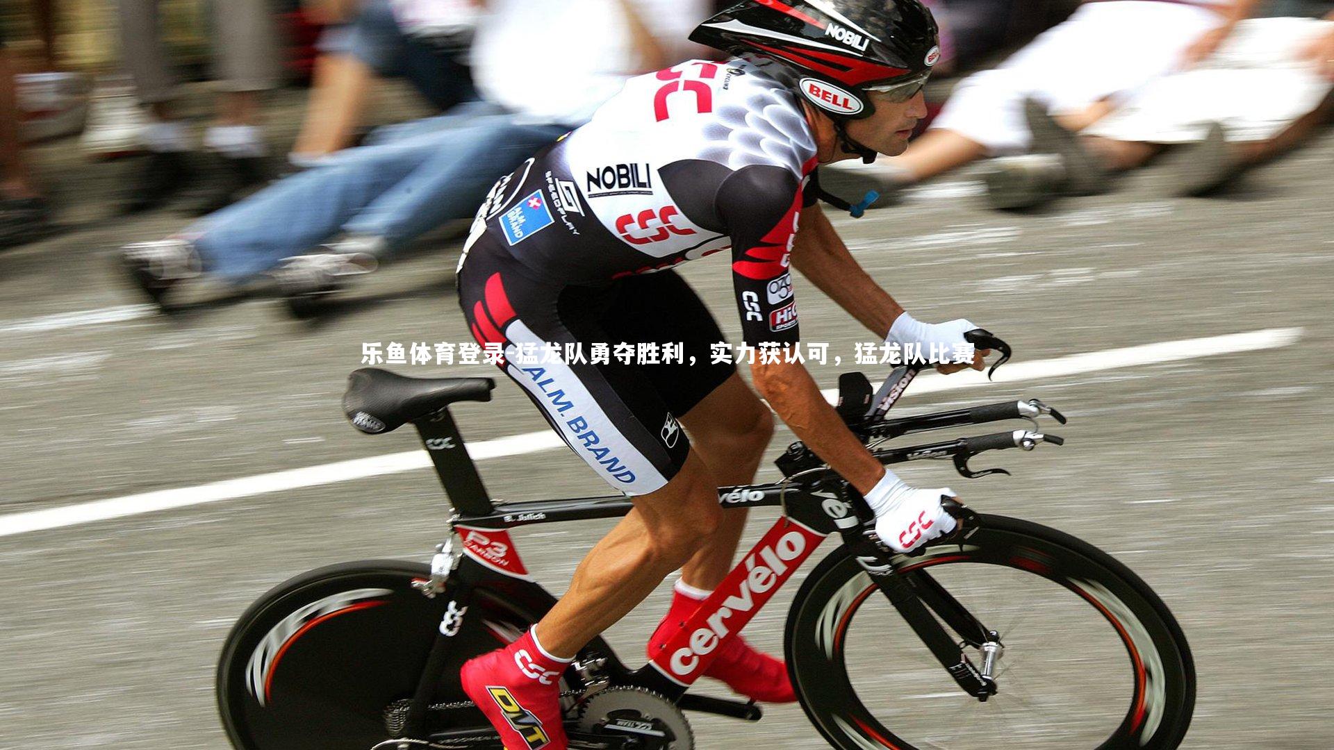 猛龙队勇夺胜利，实力获认可，猛龙队比赛