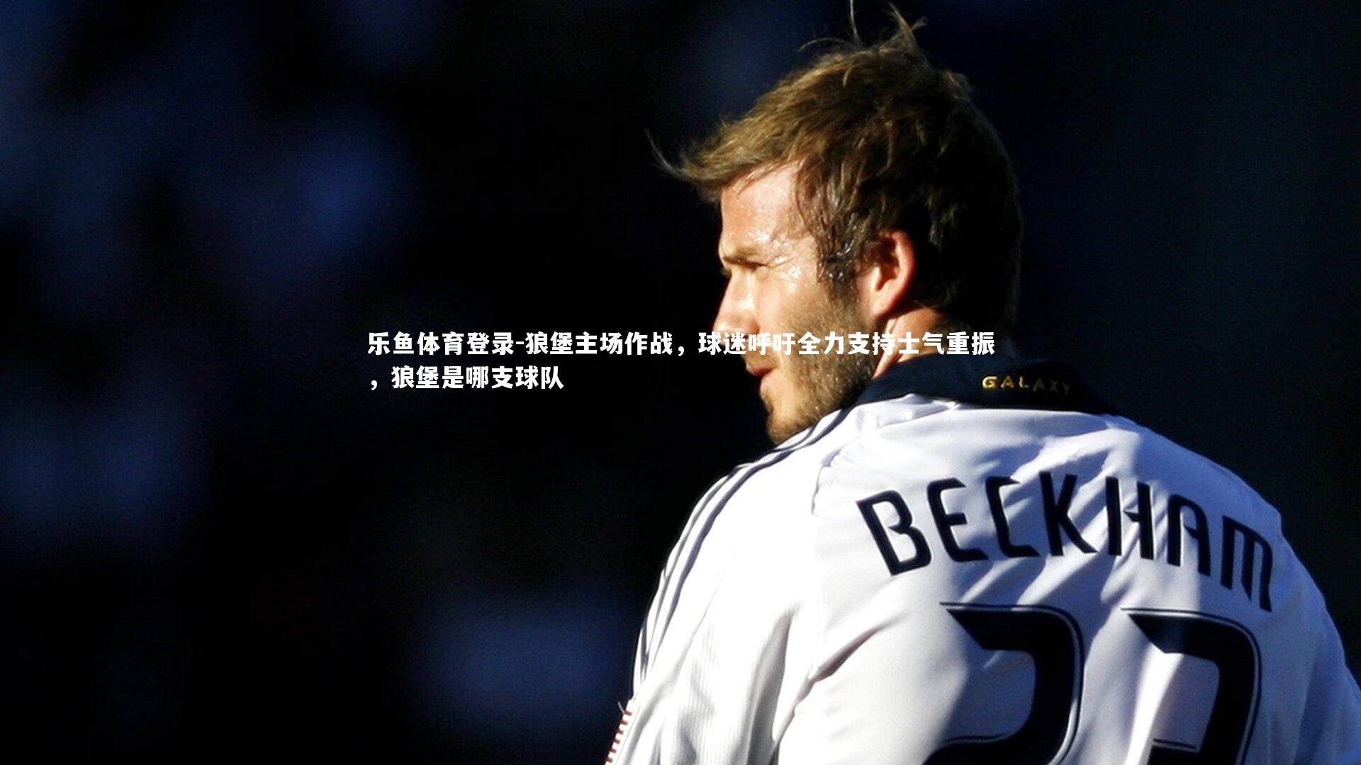 狼堡主场作战，球迷呼吁全力支持士气重振，狼堡是哪支球队