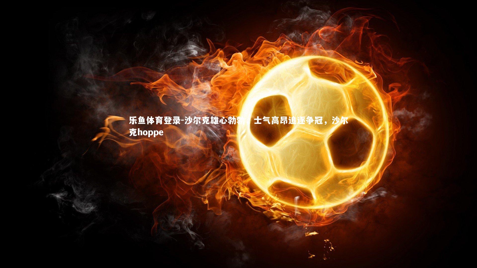 乐鱼体育登录-沙尔克雄心勃勃，士气高昂追逐争冠，沙尔克hoppe