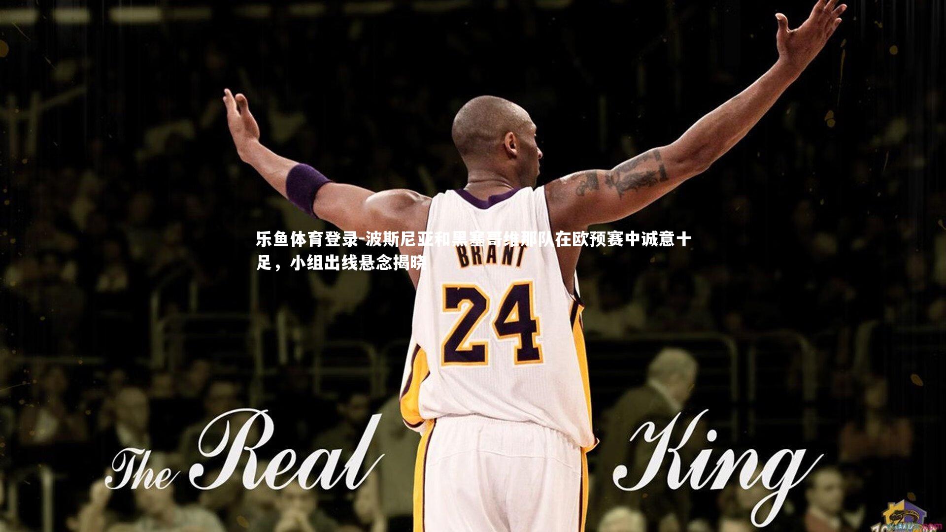 波斯尼亚和黑塞哥维那队在欧预赛中诚意十足，小组出线悬念揭晓