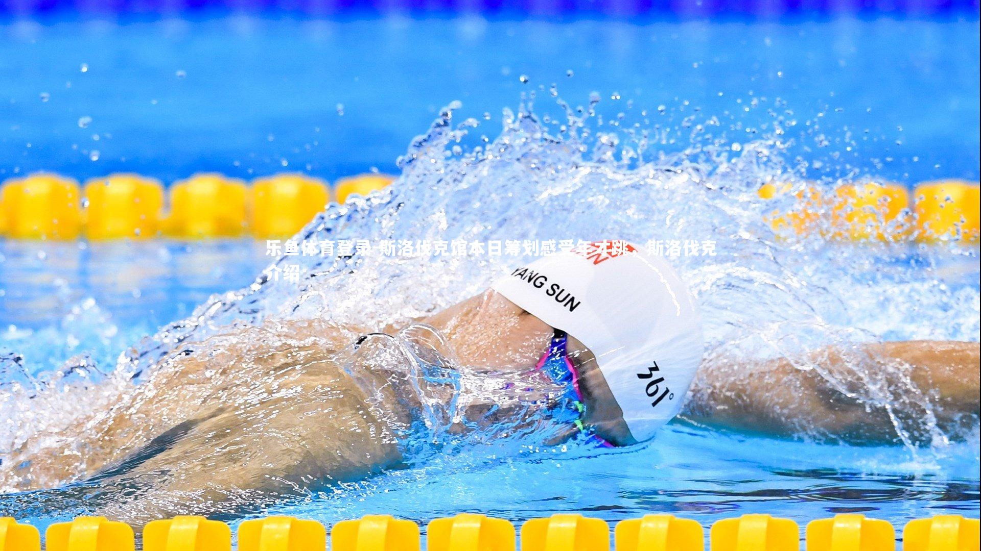 斯洛伐克馆本日筹划感受年才跳，斯洛伐克介绍